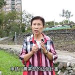 113年食農教育推廣計畫「找回失去的味道一都會客家野菜的復育計畫」